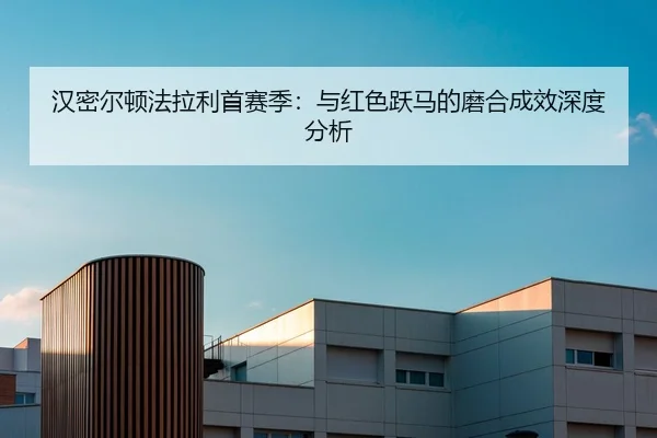 汉密尔顿法拉利首赛季：与红色跃马的磨合成效深度分析